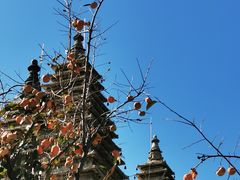 -北京石刻艺术博物馆(五塔寺)