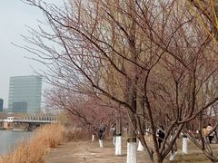 -大兴滨河森林公园