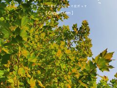 -南海子公园