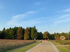 -同里国家湿地公园