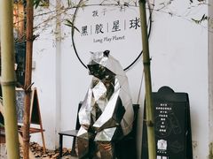 -黑胶星球(华发中城商都店)