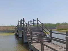 -宁波杭州湾国家湿地公园