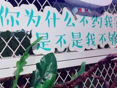 -一笼小幸运