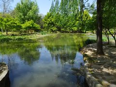 -洛阳市隋唐城遗址植物园