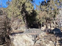 -泰山风景名胜区-普照寺