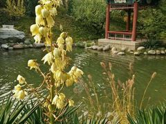 -钓鱼台国宾馆