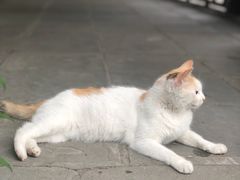 -摔碗酒(永兴坊店)