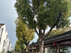 -溪口-滕头旅游景区