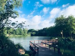 -梁鸿国家湿地公园