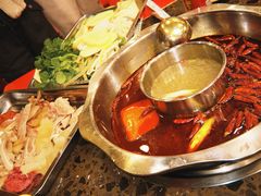 -金鼎雪山牦牛杂火锅(理县总店)