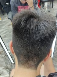 -藤野造型