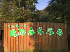 -广州市石门国家森林公园