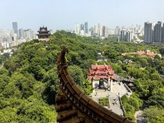 -黄鹤楼