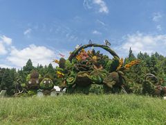 -东平国家森林公园