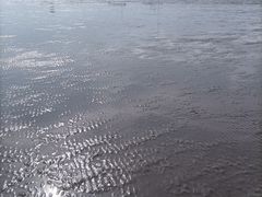 -南汇新城海滩