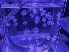 -海合安青岛极地海洋公园