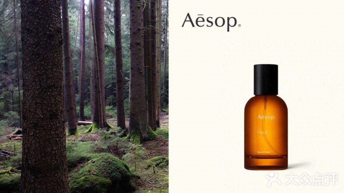 Aesop伊索 玫瑰籽护唇霜