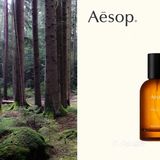 Aesop伊索 玫瑰籽护唇霜