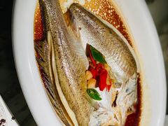 葱椒鲈鱼-绿茶餐厅(昌平悦荟店)