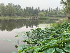 -东郊湿地公园