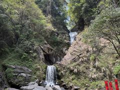 -石台牯牛降景区