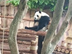 -泉州海丝野生动物世界