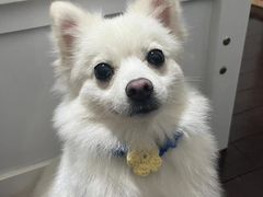 -爱侣宠医·鹦鹉专科·小型哺乳类·异宠专科(灵石路店)