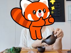 -深圳国际会展中心希尔顿酒店(前海华发冰雪世界店)