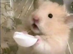 -海底捞火锅(塘厦天虹店)