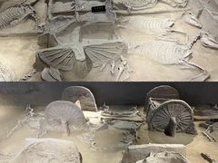 -洛阳周王城天子驾六博物馆