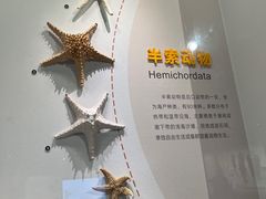 -四川大学博物馆