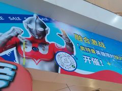 -鹏欣水游城