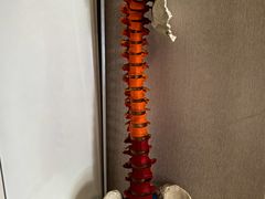 -修申骨雕小颜脊柱骨盆管理产后修复