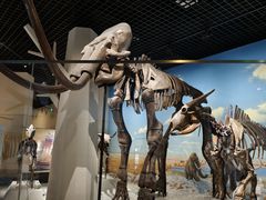 -国家自然博物馆