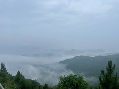 -花竹村