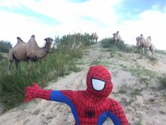 -库伦旗银沙湾旅游景区