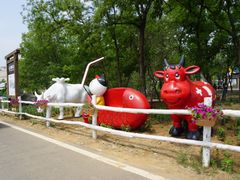 -大连铭湖国际观光牧场