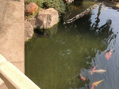 -番禺宾馆丽苑厅