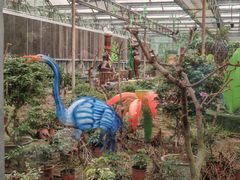 -南宫五洲植物乐园