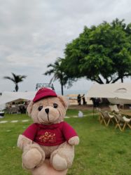 -厦门康莱德酒店·宴会厅婚宴