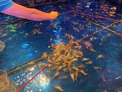 -钳真多钓虾馆·小龙虾海鲜烧烤(九六广场店)