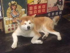 -虎虎龙虾•9年湖北匠(双井店)