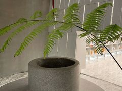 -二酉书店TOYOU BOOKS