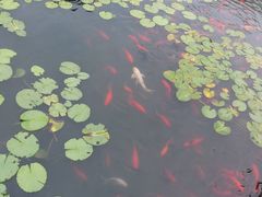 -苏州河梦清园环保主题公园