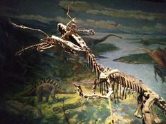 -自贡恐龙博物馆