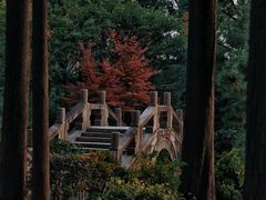 -上海醉白池公园