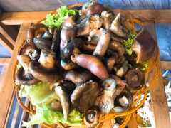 谷熟菌-菌海森林·非遗野生菌火锅(西山区滇池路摩根道店)