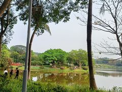 -东莞植物园