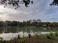 -新洲生态园