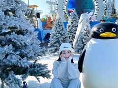 -汕头中海黄金海岸水上乐园